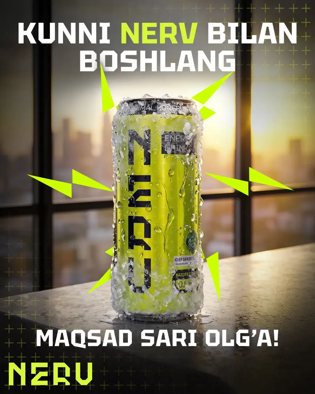 Nerv Energy